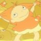 morgie