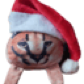Regmont