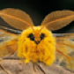 jetrumbel
