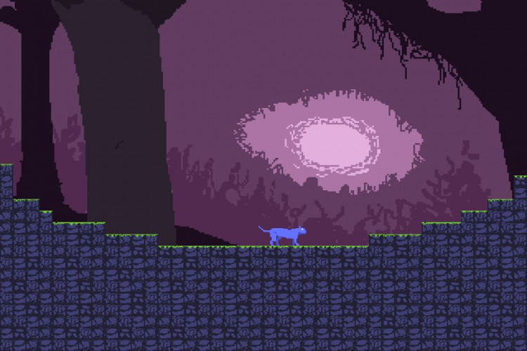 Spirits of the Forest
