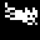 Cat(1).gif