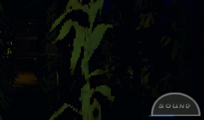 56369.gif