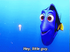 dory-littleguy.gif