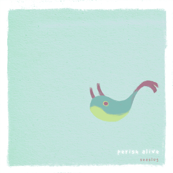 seaslug GIF.gif