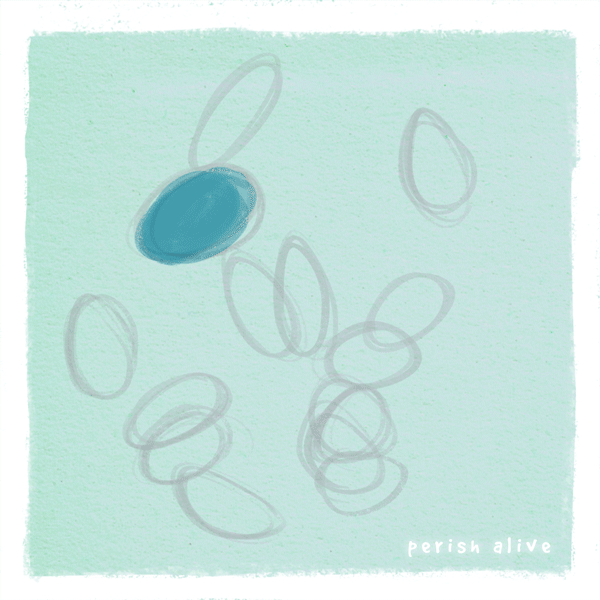 seaslug-motion-map.gif