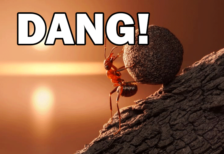 ant-ref-Dammit.png
