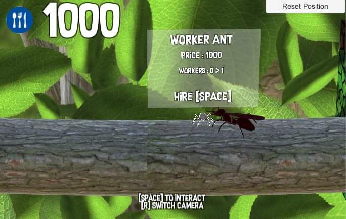 Ants 2.jpg