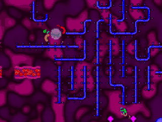 bacteriophages.gif