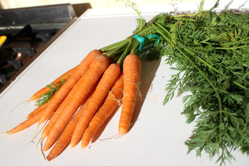 carrots-fresh-sm.jpg