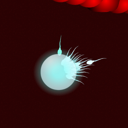 screenshot.jpg