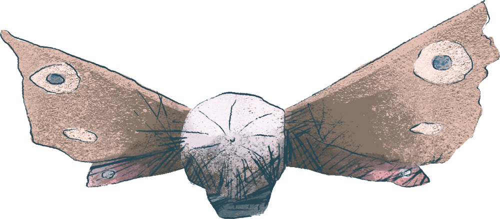 blimp.png