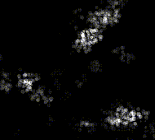 _Post_Shader_6.gif