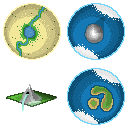Art.png