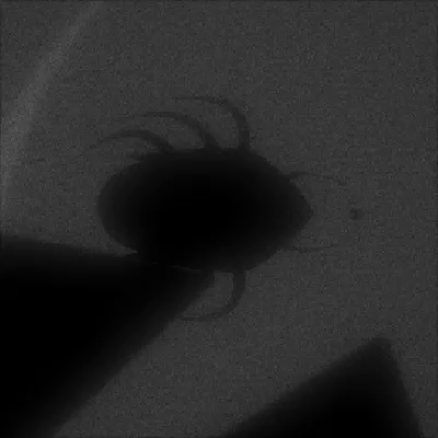 Kapture 2017-08-13 at 17.09.00.gif