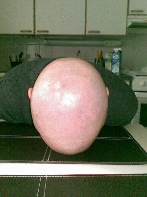head.jpg