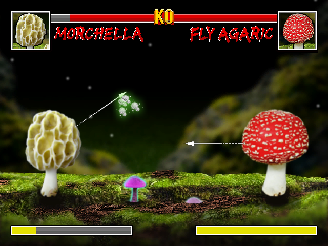 Screenshot3.png