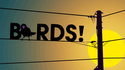 BIRDS1