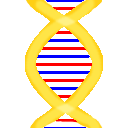 dna1.png