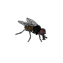 fly1.png