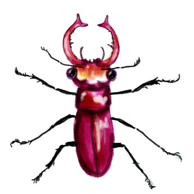 evilBeetle.jpg