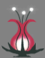 spore.gif