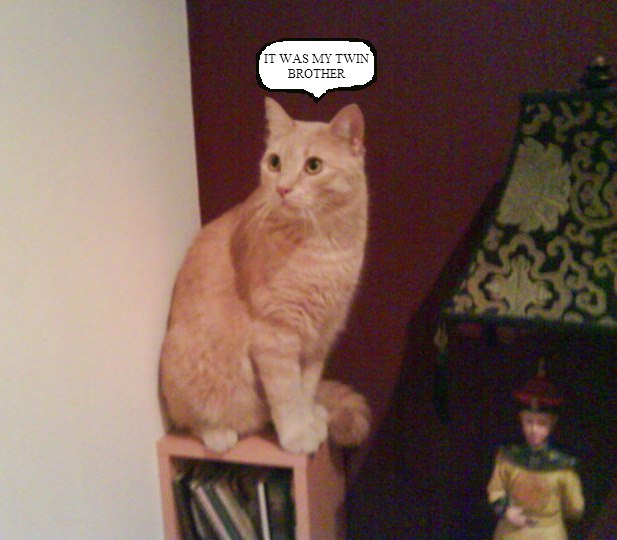 goodcat
