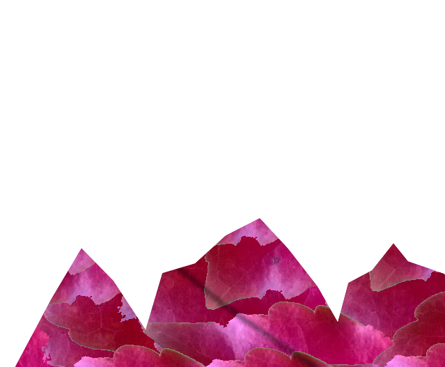 LeafMountain