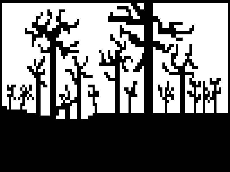 woods