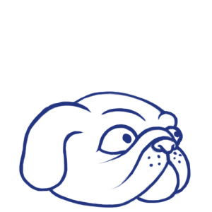 dog_d