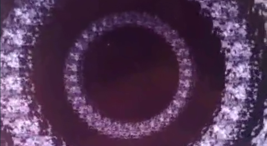 portal