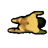 roll
