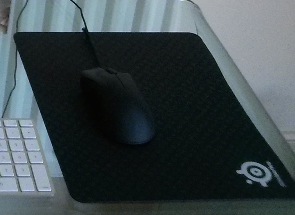 mouse