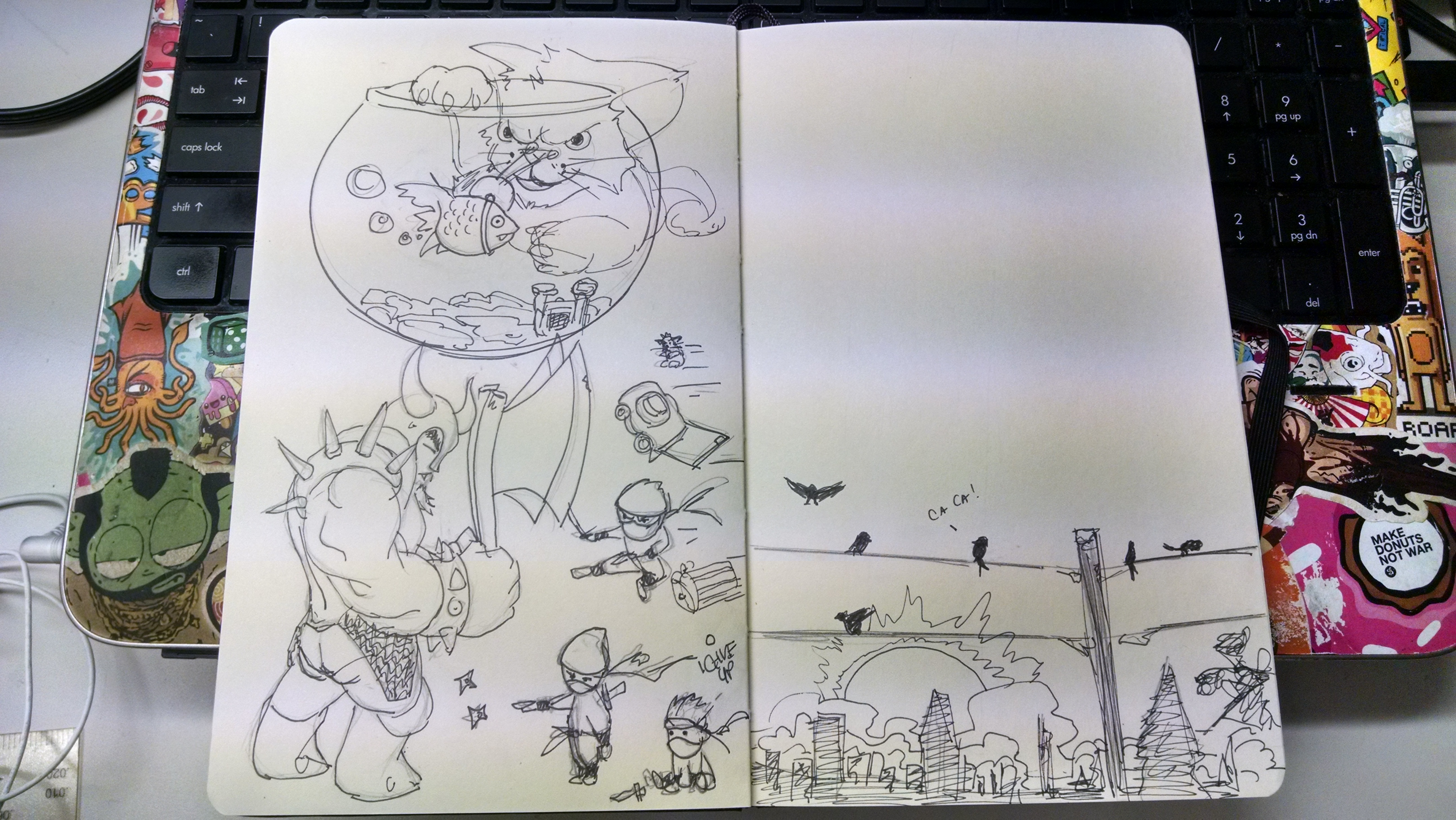 birds_sketches