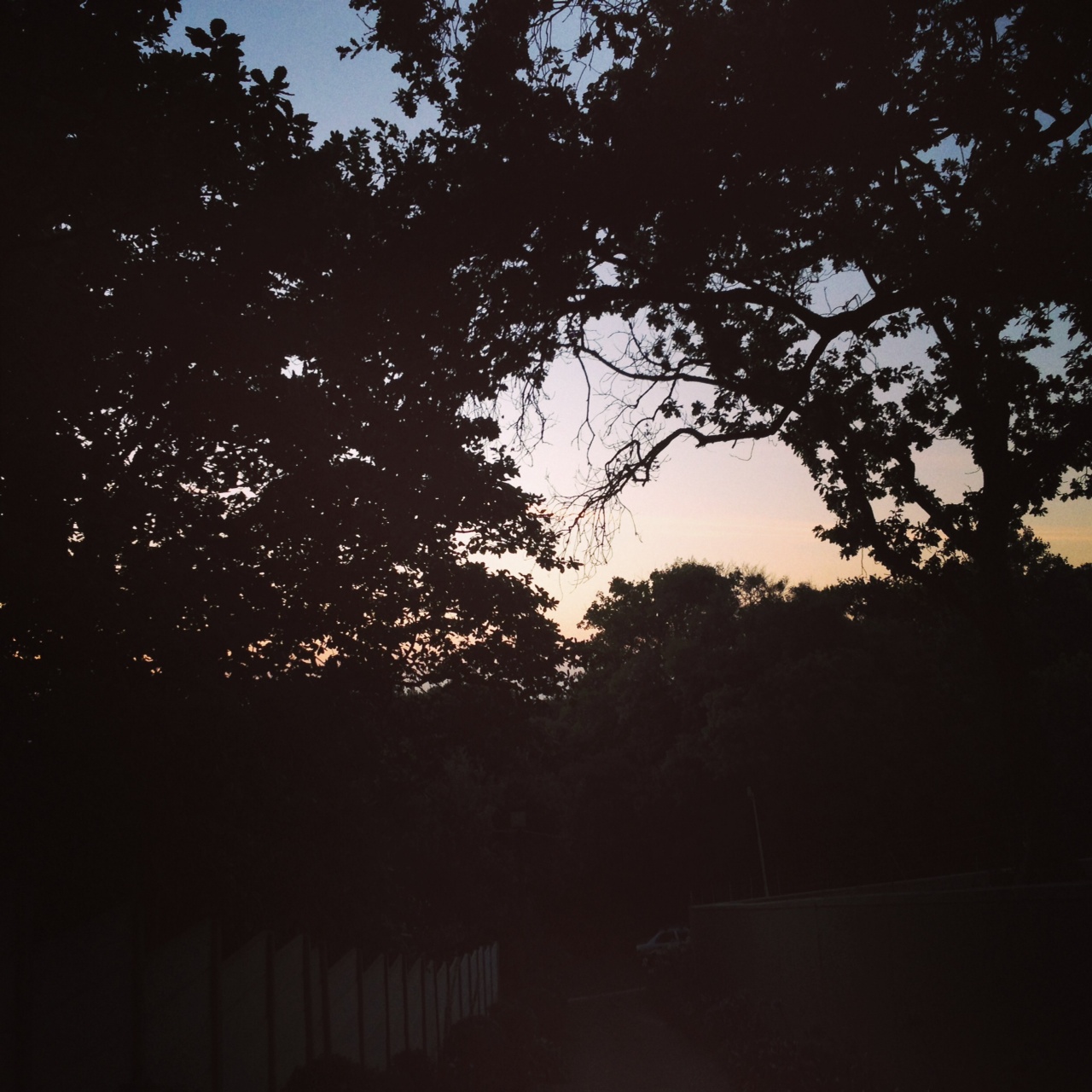 photo(7)