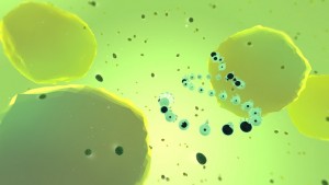 21417-shot3-1440455644.png-eq-900-500