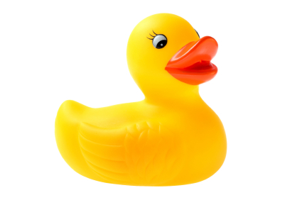duck.jpg