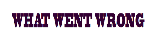 wentRong.gif