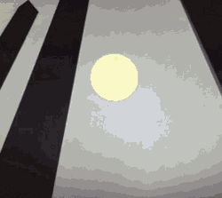 screen-wip-vine.gif